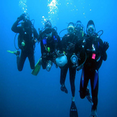 DIVING TOURS