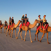 Camel Tours